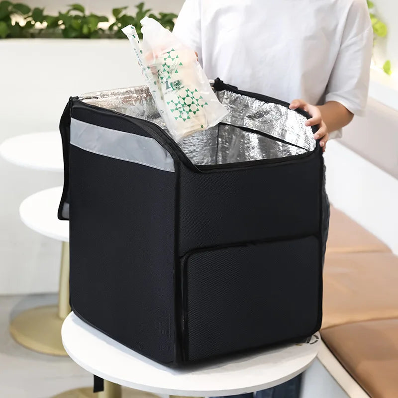 Insulated Travel Backpack Bag